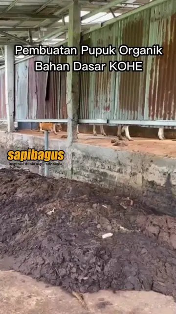 Pembuatan-Pupuk-Organik-Bahan-Dasar-KOHE